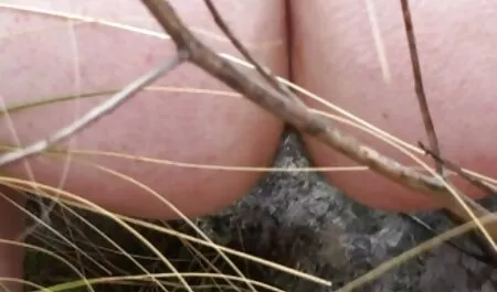 Lesbiche bere film completi hard italiani sperma dal culo del suo amico