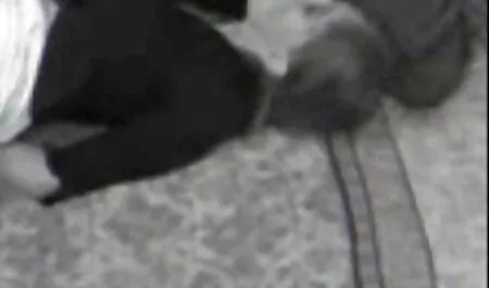 Un uomo armato di una videocamera amatoriale irrompe in bagno alla direzione del suo fidanzato, robusto, con ruvido you porn film completi metterlo in bocca del rosso e riempire la gola del bambino con un sacco di sperma.