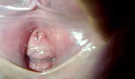 Cosa nella vagina? Vediamo! video porn completi